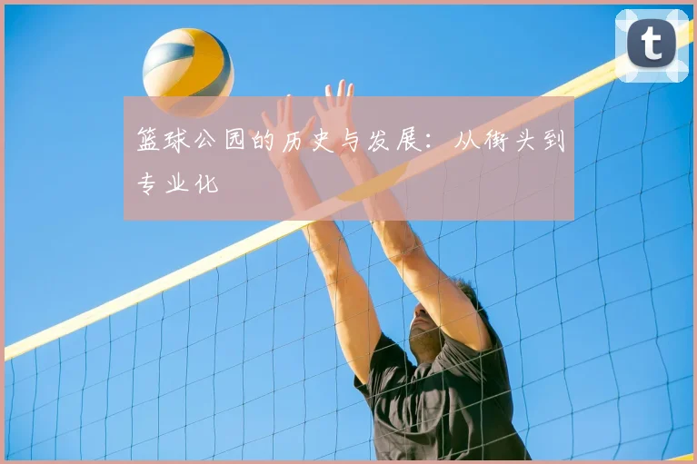篮球公园的历史与发展:从街头到专业化