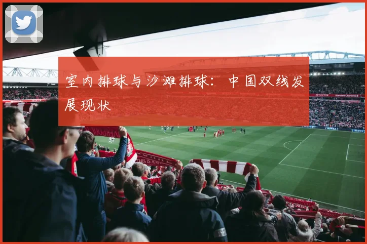 室内排球与沙滩排球：中国双线发展现状