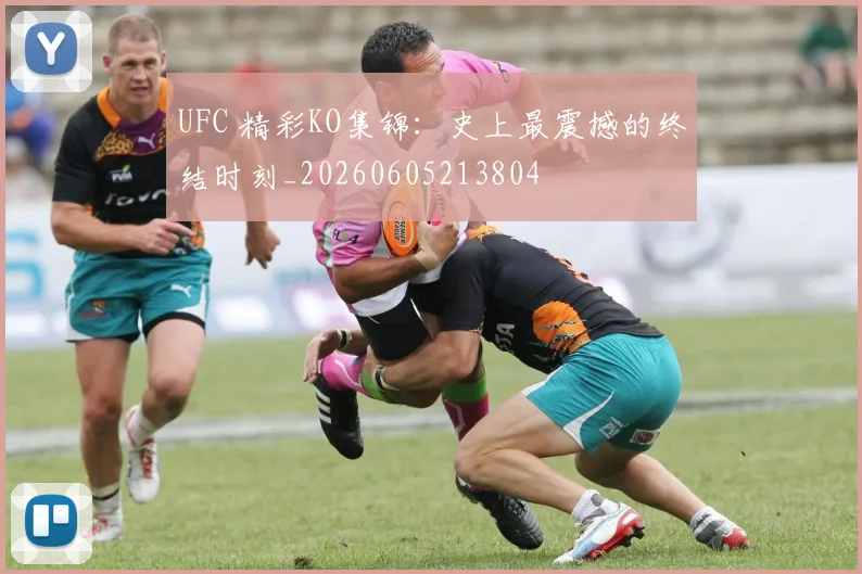 UFC 精彩KO集锦:史上最震撼的终结时刻_20260605213804